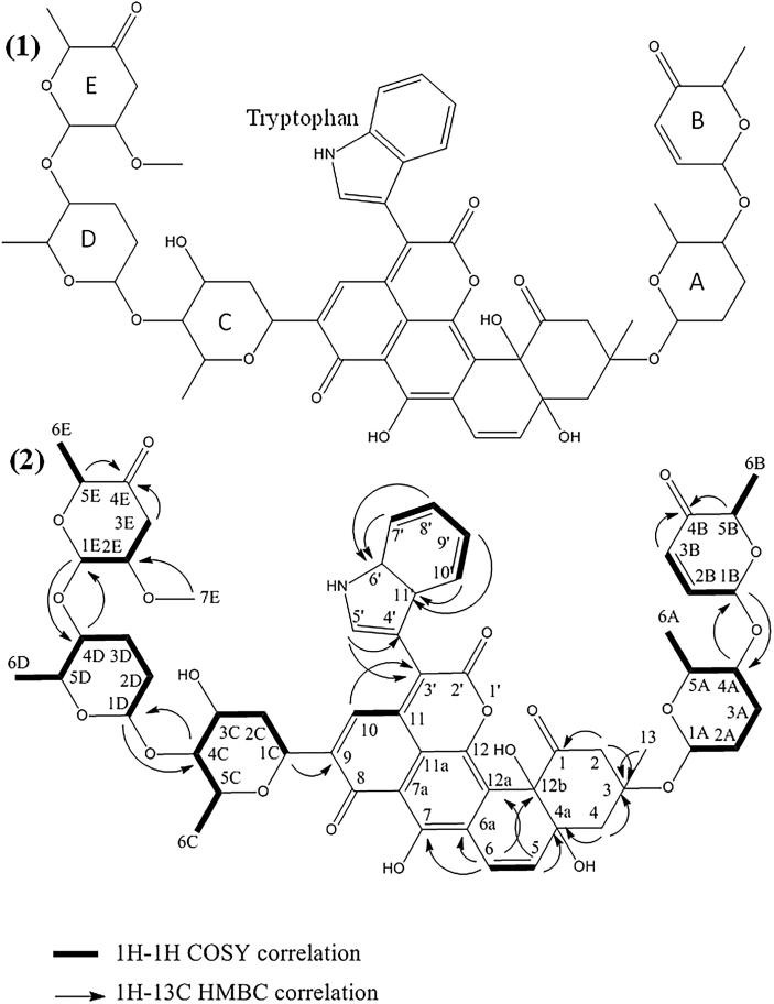 Fig. 2