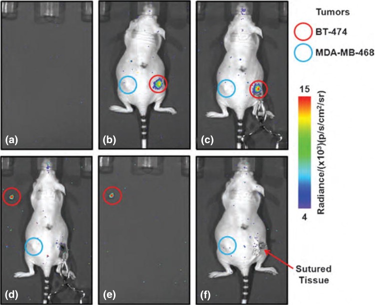 Fig. 2