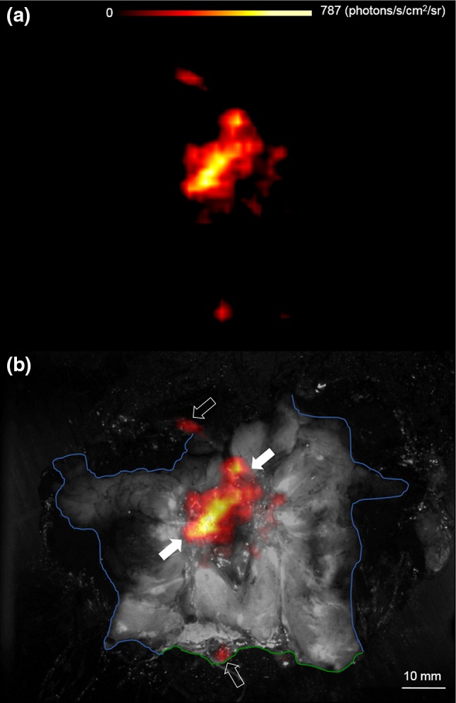 Fig. 4