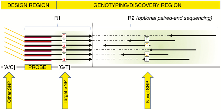 Fig. 1.