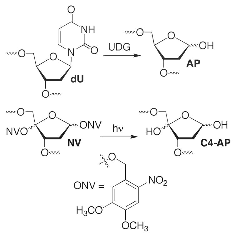 Scheme 2