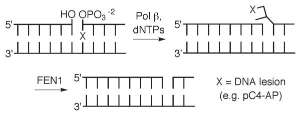 Scheme 3