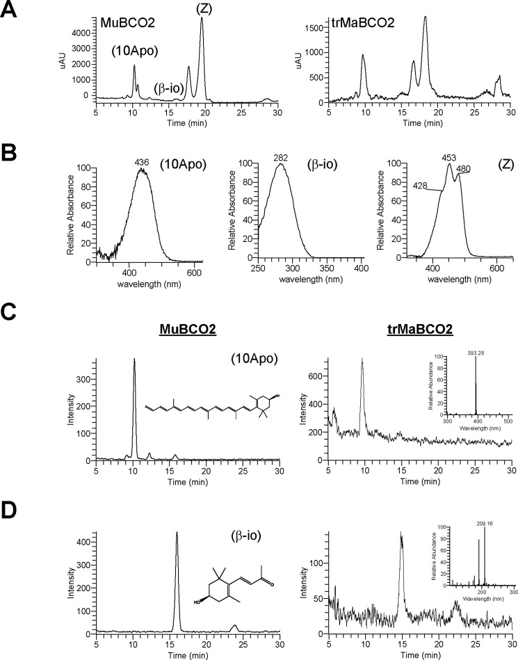 FIGURE 4.