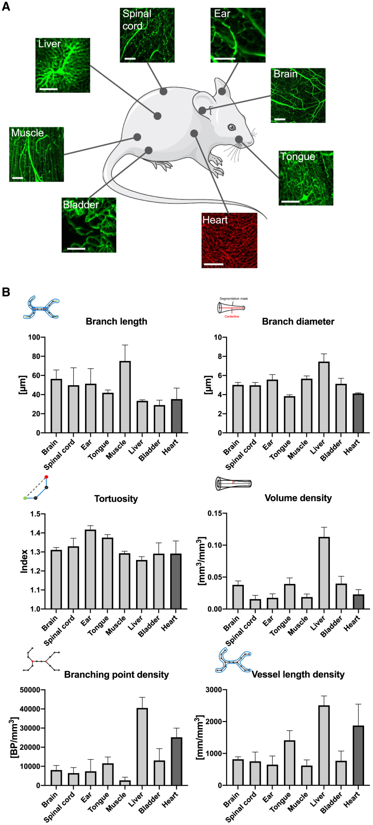 Figure 4