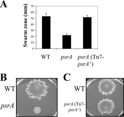 FIG. 4.