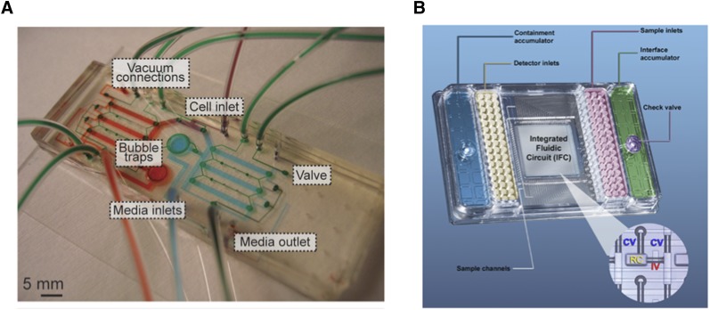 Figure 2.