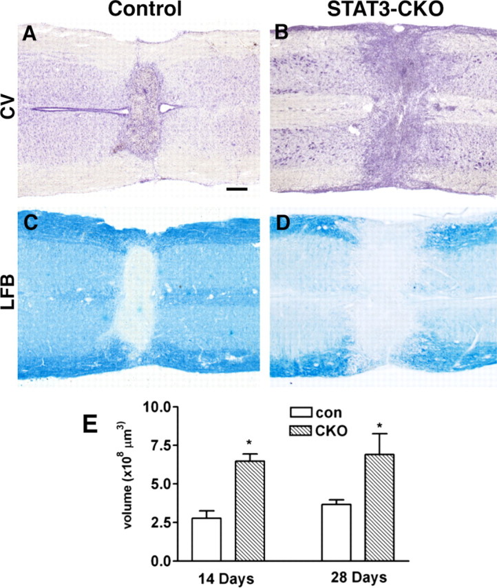 Figure 12.