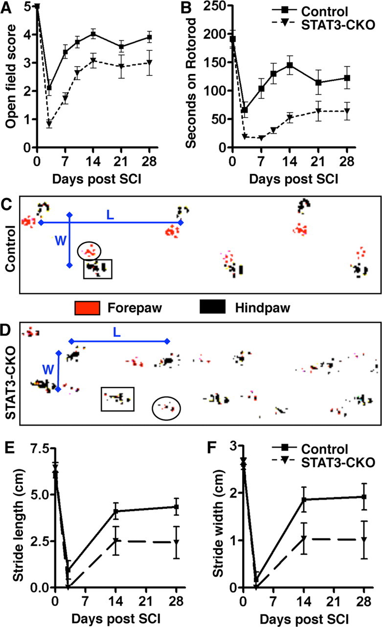 Figure 13.