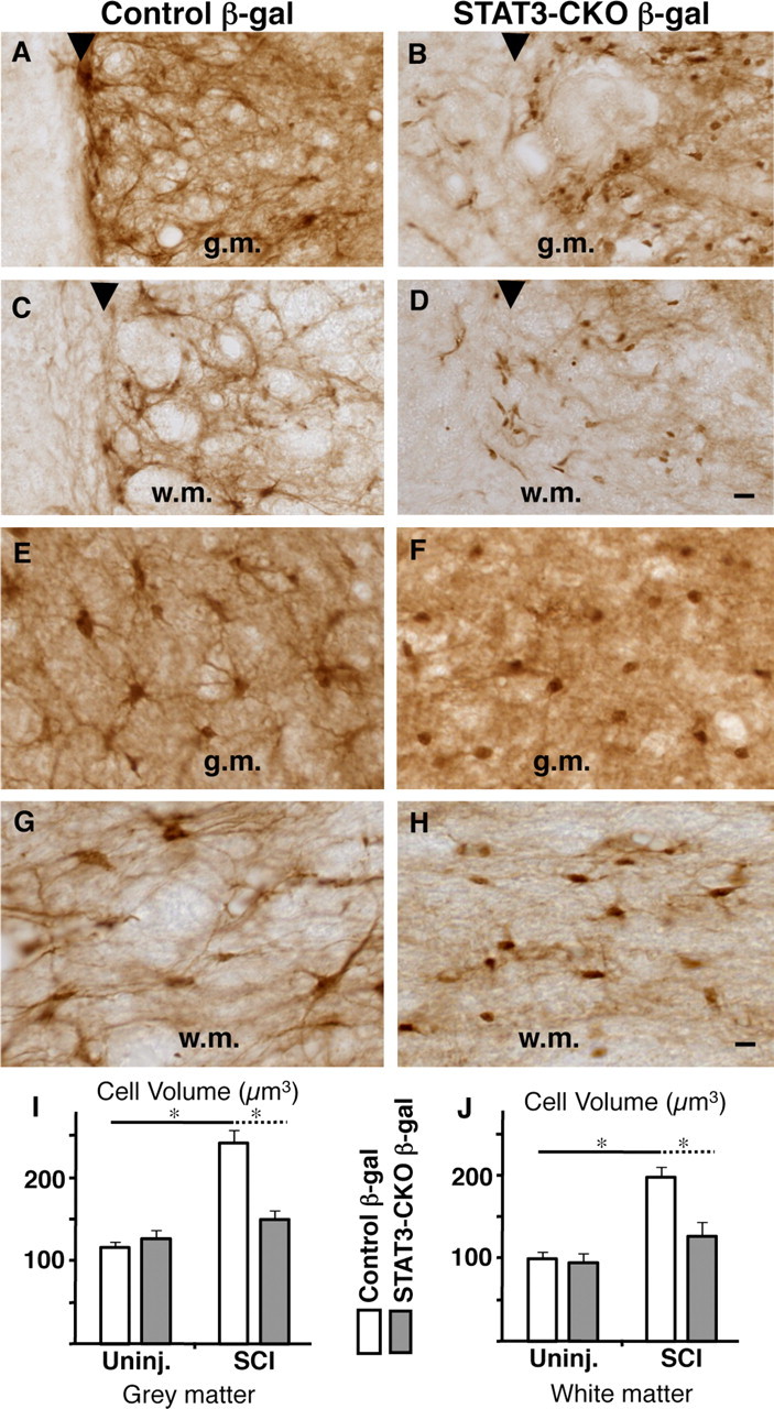 Figure 10.