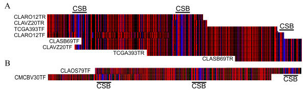 Figure 10