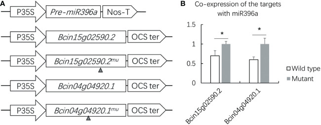 Figure 6