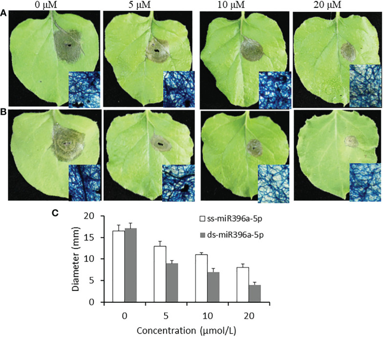 Figure 4