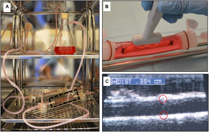 FIGURE 3