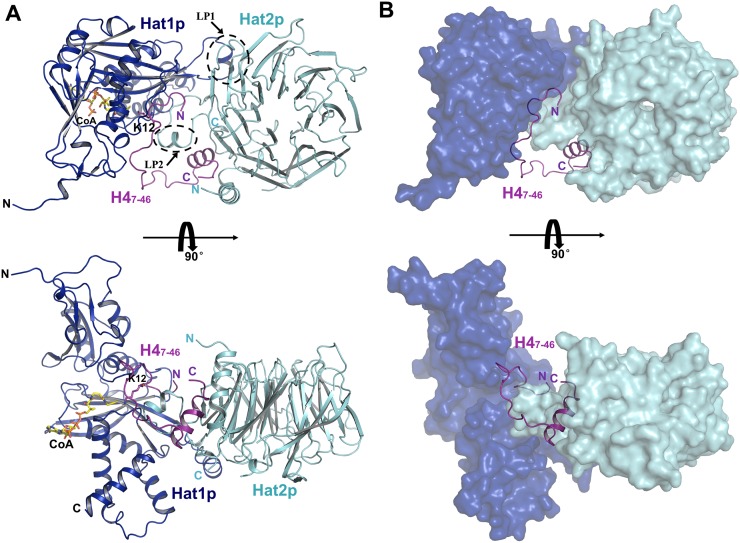 Figure 1.