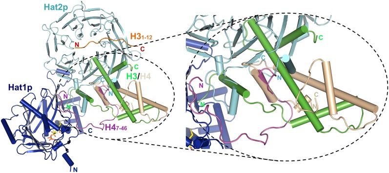 Figure 5.