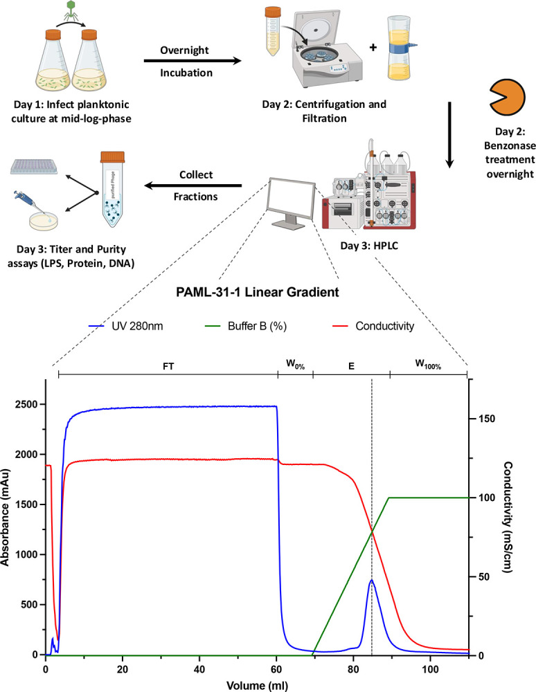 Figure 2: