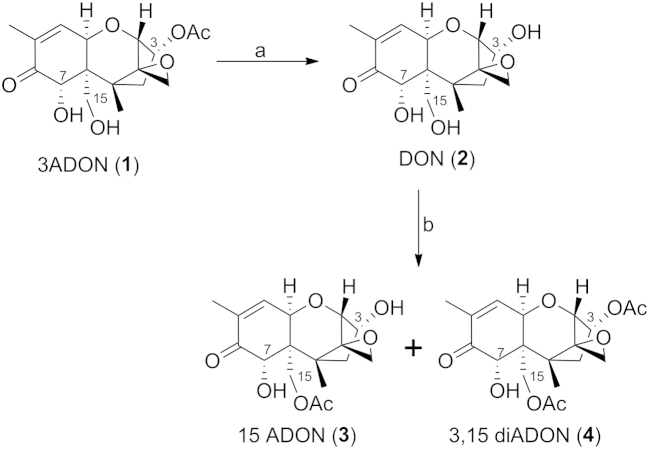 Scheme 3