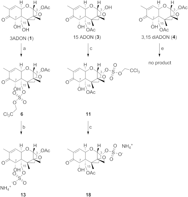 Scheme 4