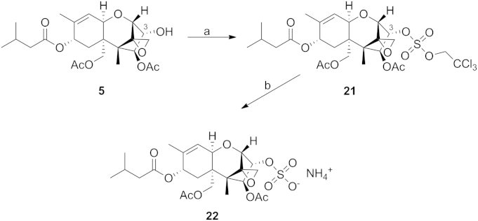 Scheme 7