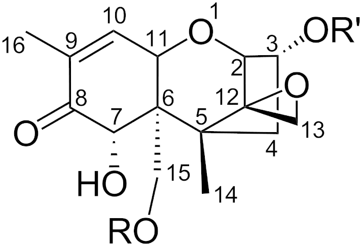 Fig. 2