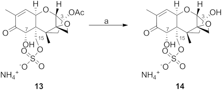 Scheme 6