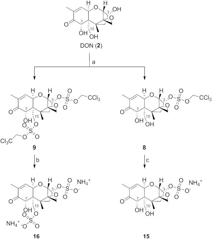 Scheme 5