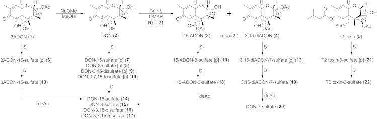 Scheme 1