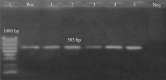 Figure 9