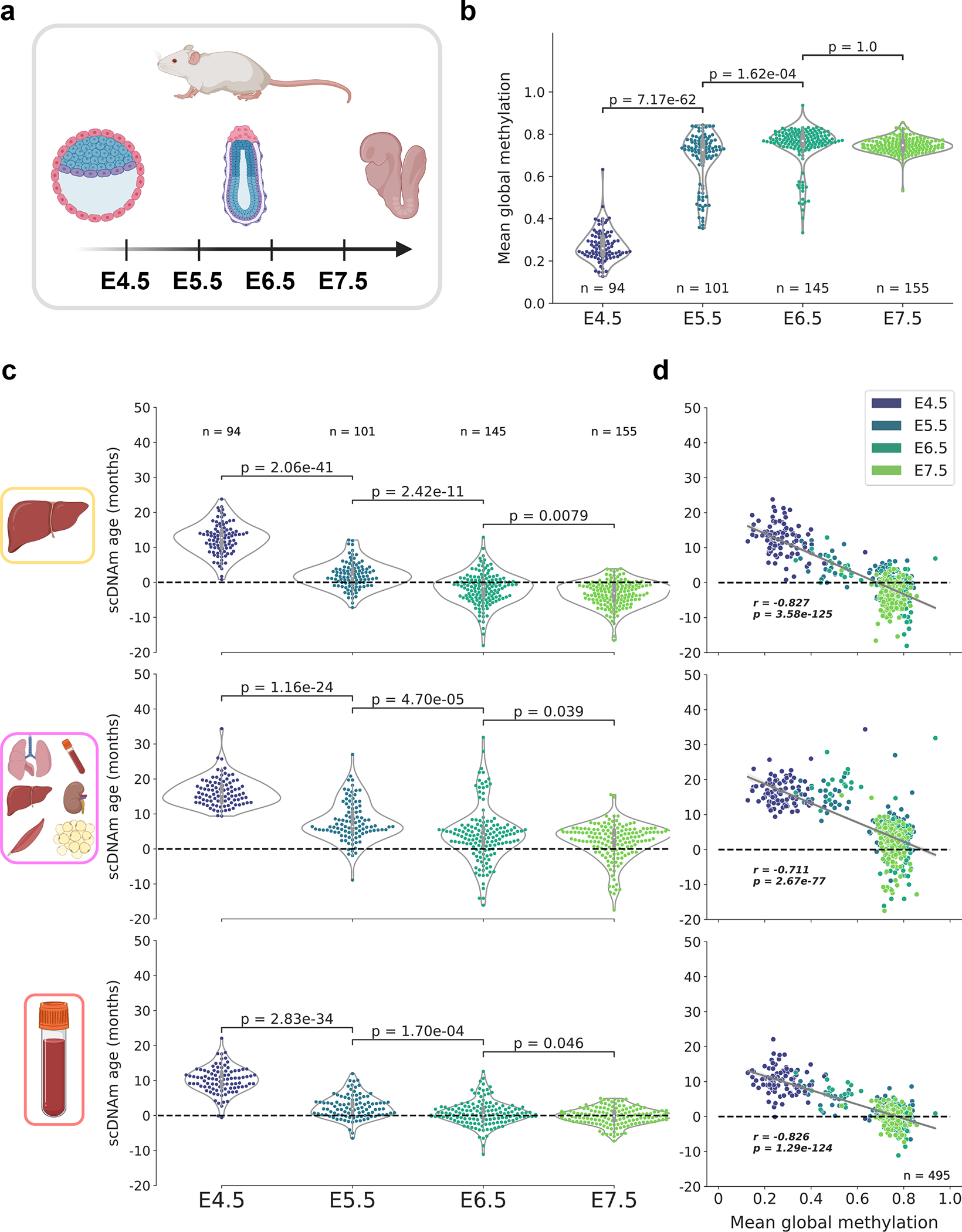 Figure 5: