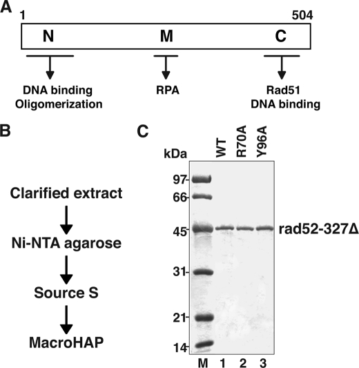 FIGURE 1.