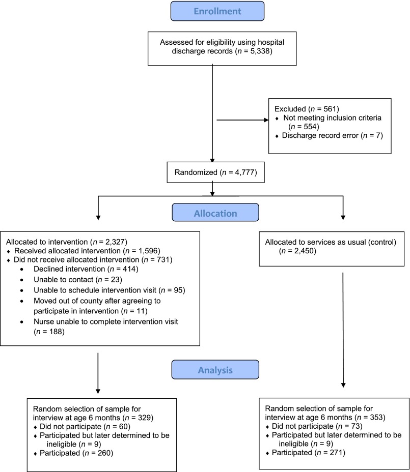 FIGURE 1