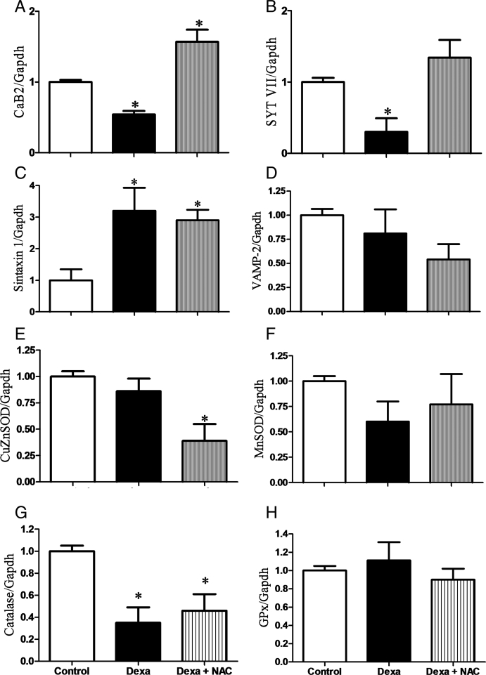 Figure 5.