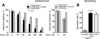 Figure 11.