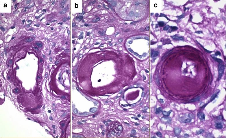 Figure 3