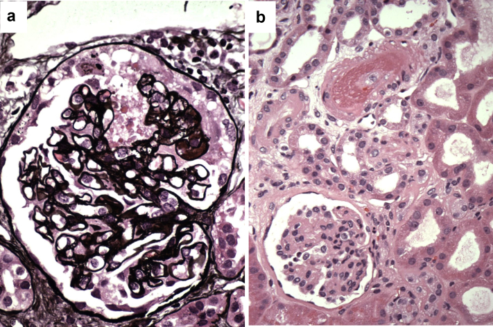 Figure 5