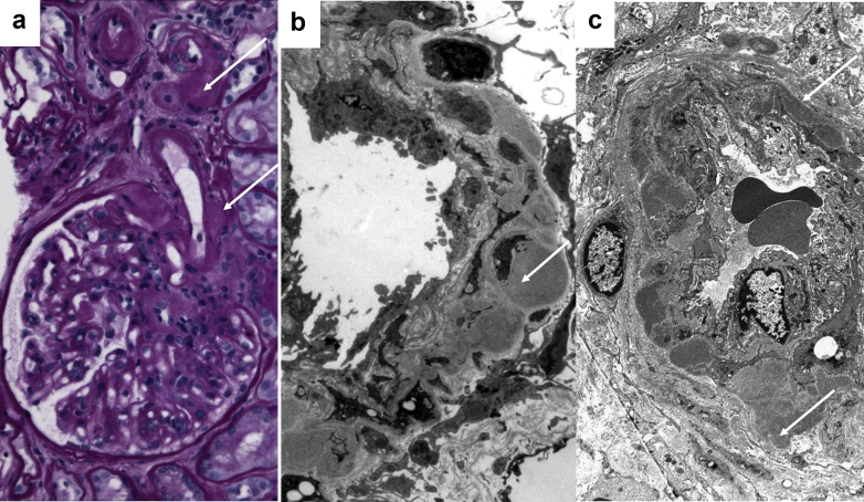 Figure 2