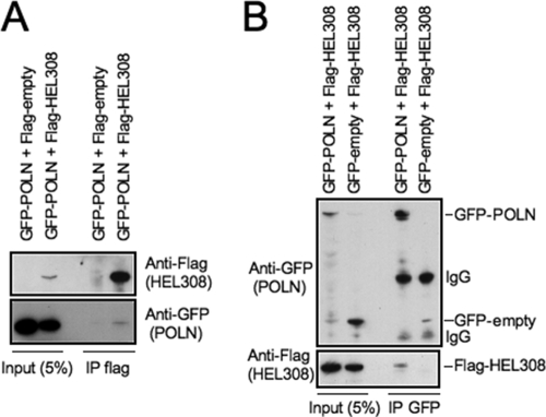 FIG. 5.