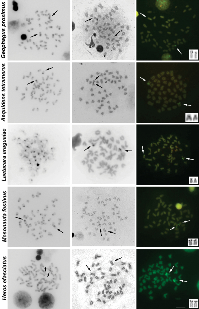 Figure 3.