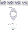 Fig. 21
