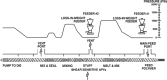 Fig. 17