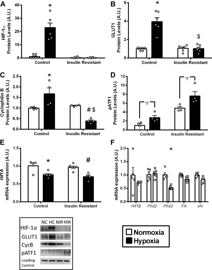 Figure 3