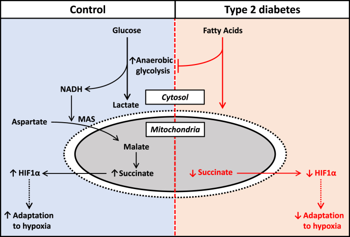 Figure 7