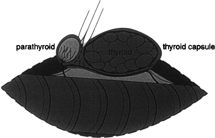 Fig 2.