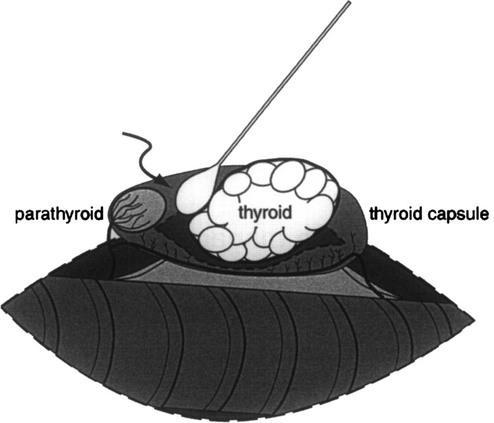 Fig 1.