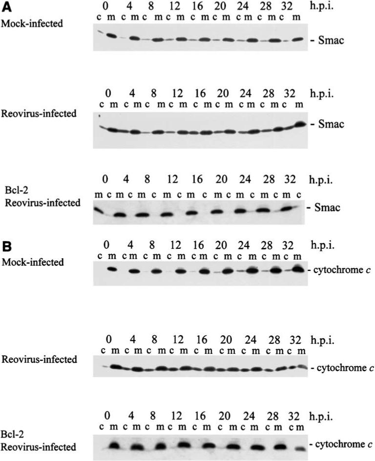 FIG. 8