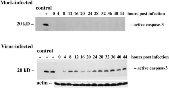 FIG. 10