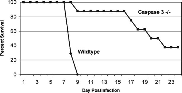 FIG. 18