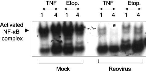 FIG. 14