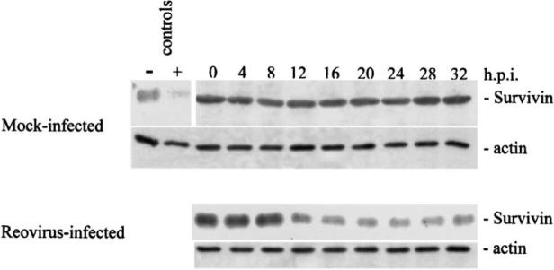 FIG. 9