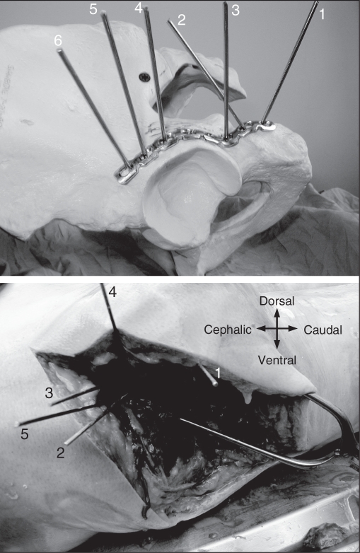 Fig. 7